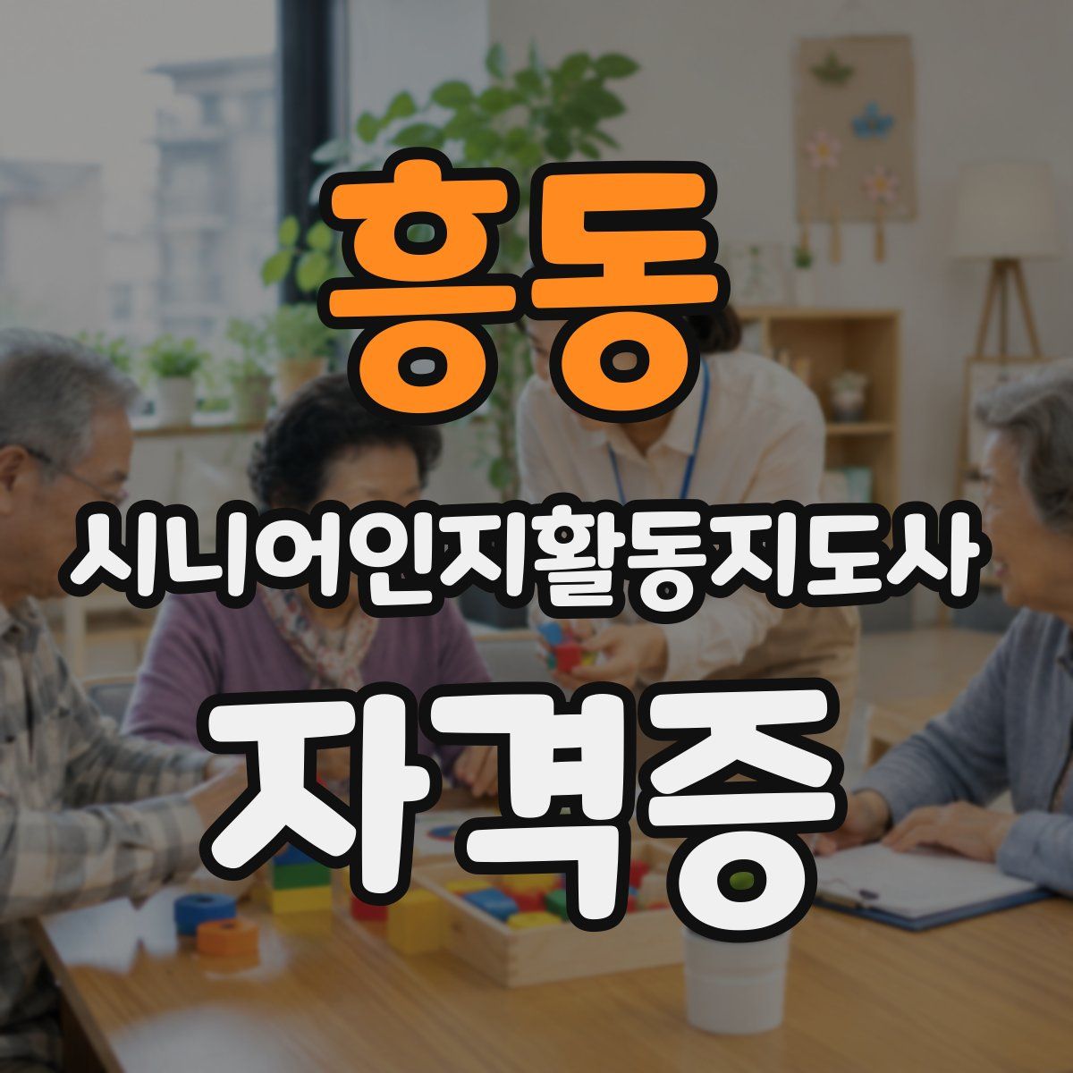 흥동 시니어인지활동지도사 자격증