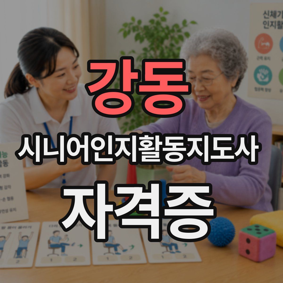 강동 시니어인지활동지도사 자격증