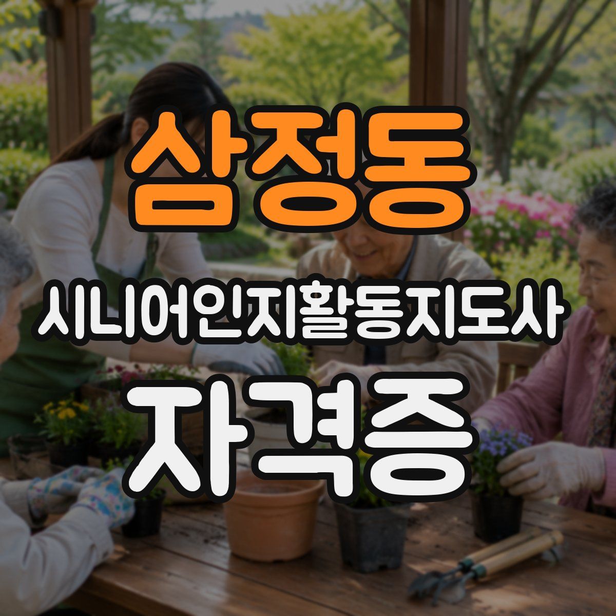 삼정동 시니어인지활동지도사 자격증