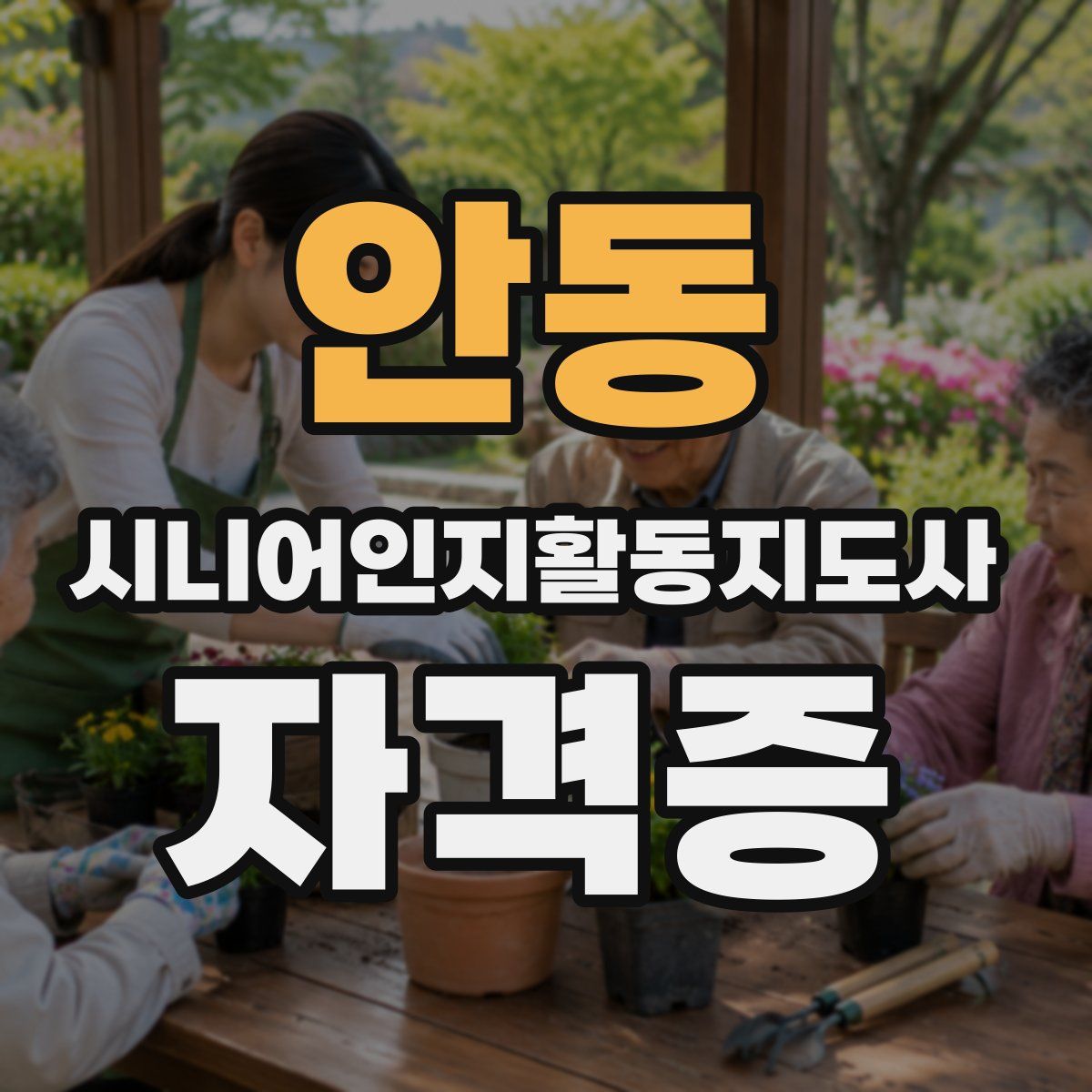 안동 시니어인지활동지도사 자격증