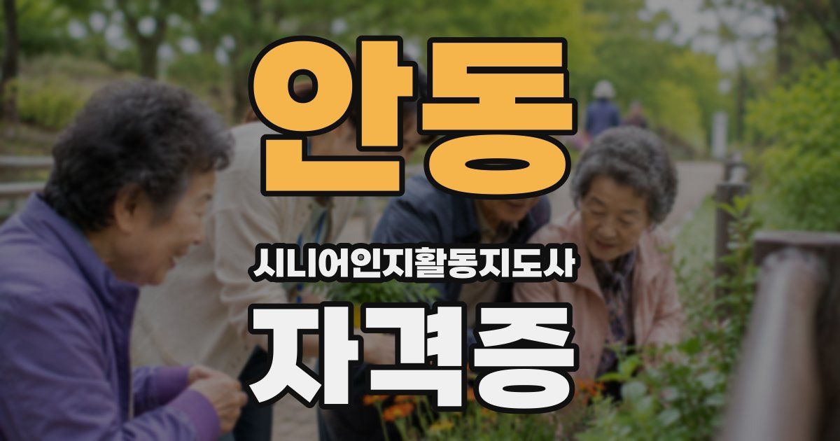 안동 시니어인지활동지도사 자격증