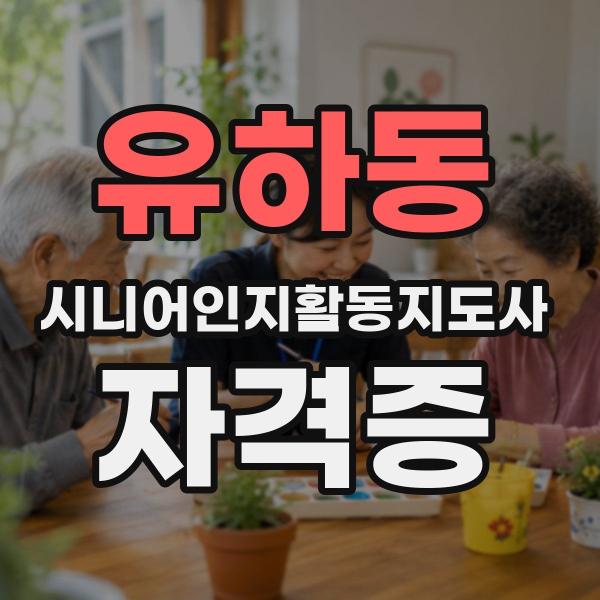 유하동 시니어인지활동지도사 자격증