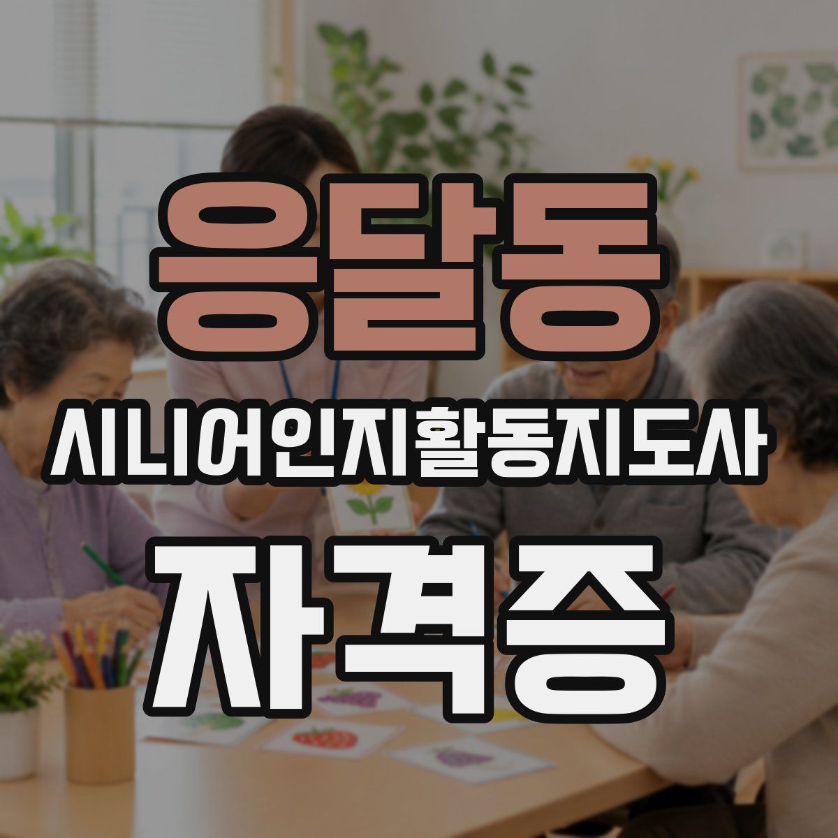 응달동 시니어인지활동지도사 자격증