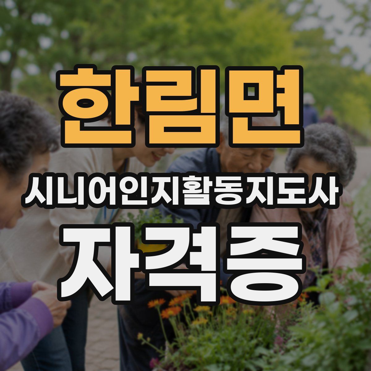 한림면 시니어인지활동지도사 자격증