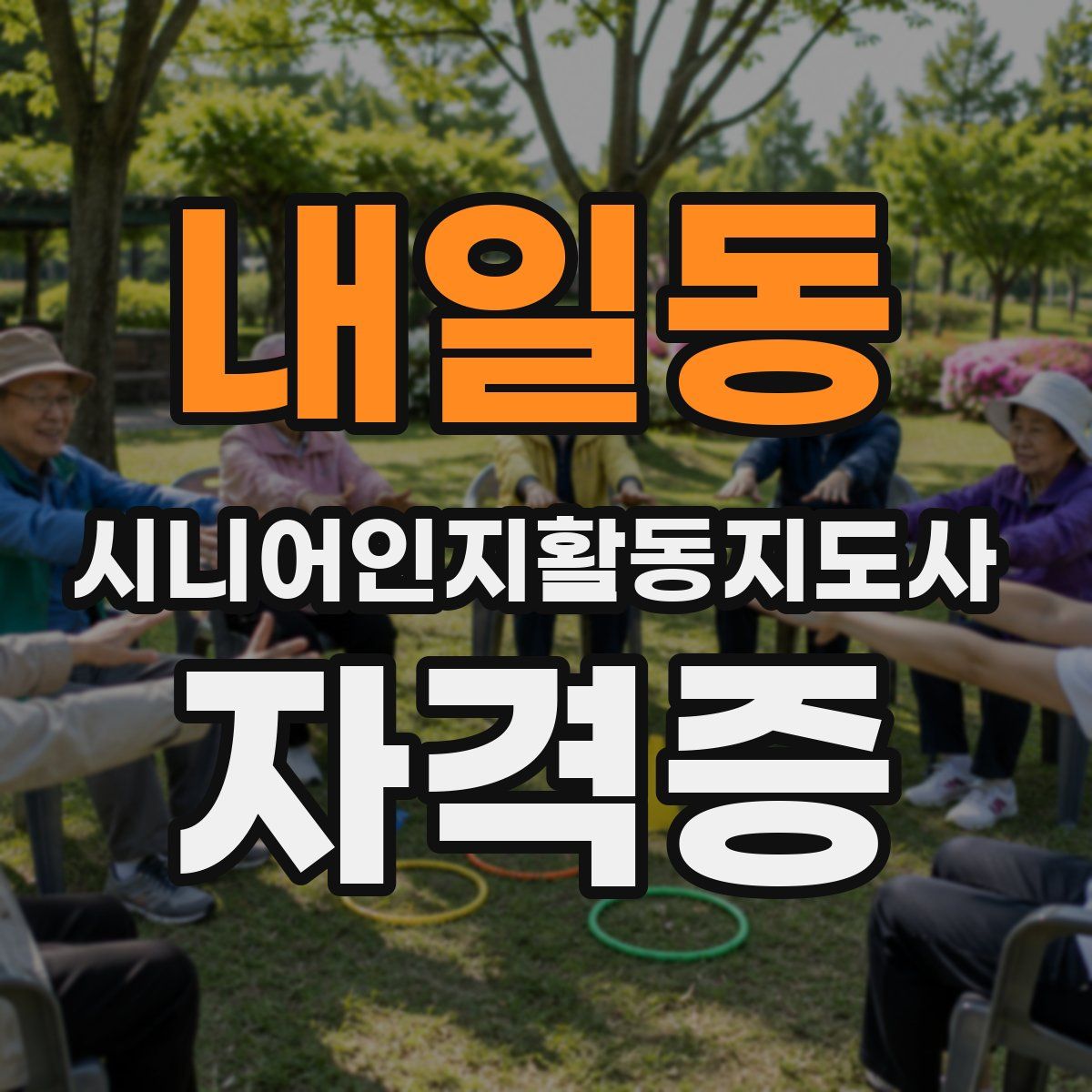 내일동 시니어인지활동지도사 자격증