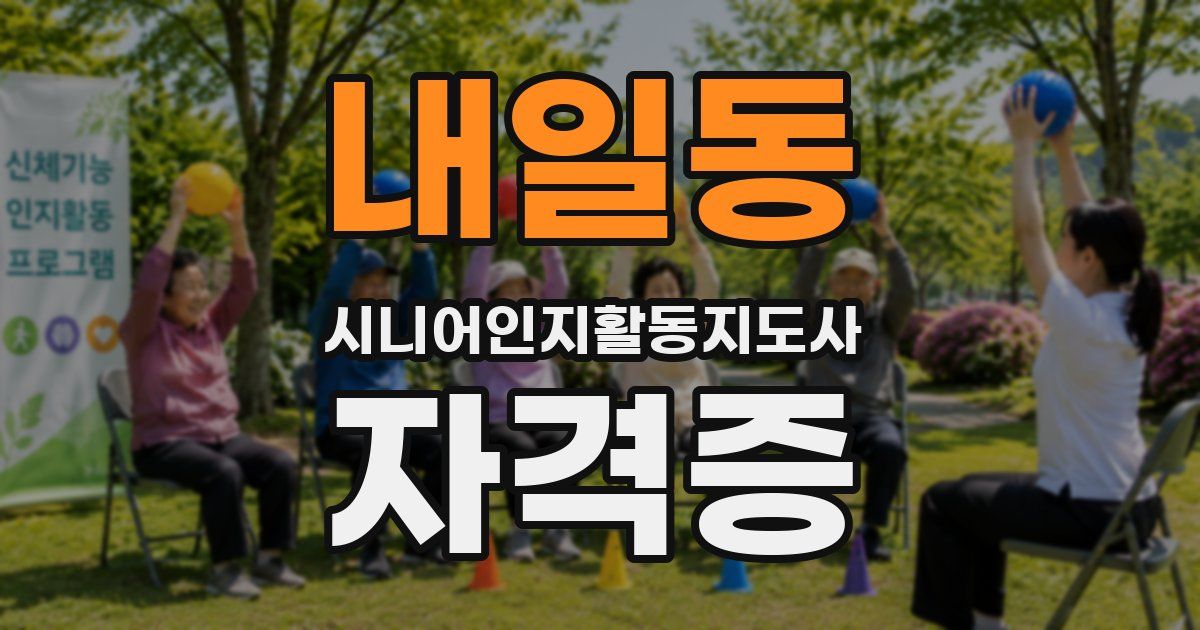 내일동 시니어인지활동지도사 자격증
