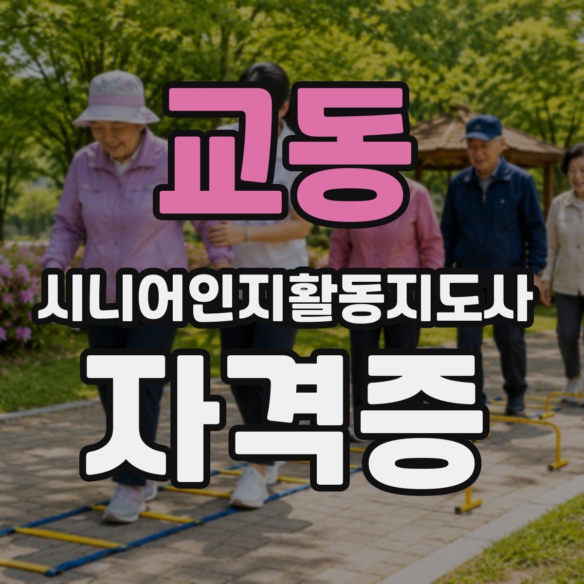 교동 시니어인지활동지도사 자격증