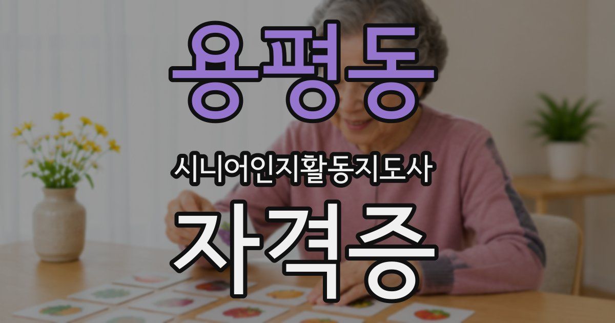 용평동 시니어인지활동지도사 자격증