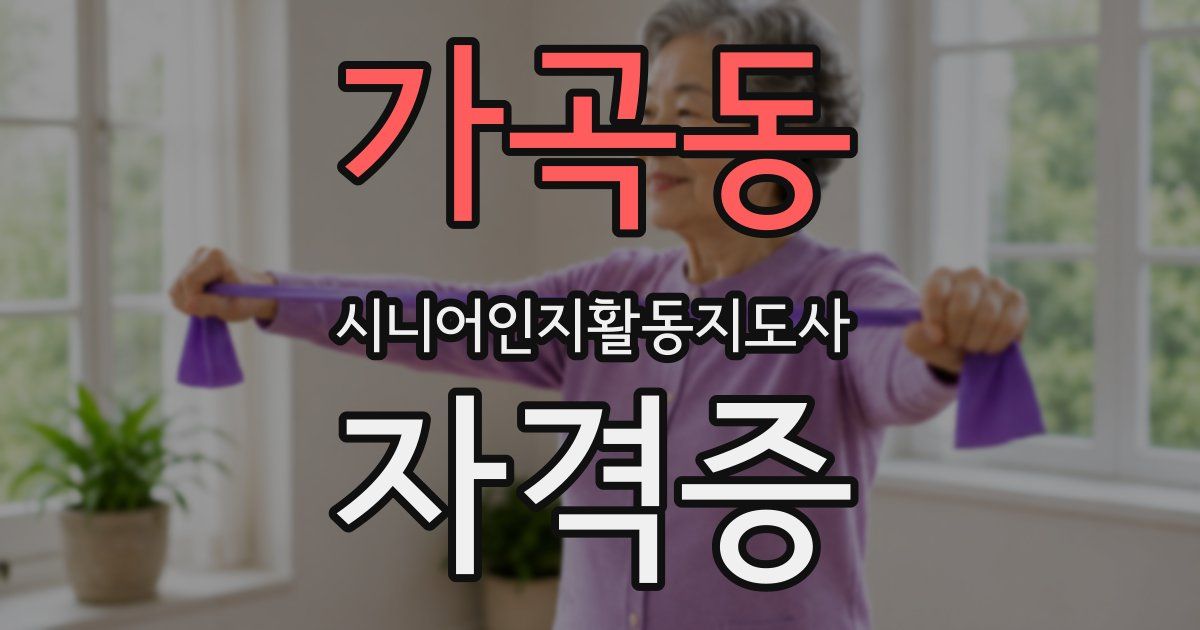 가곡동 시니어인지활동지도사 자격증