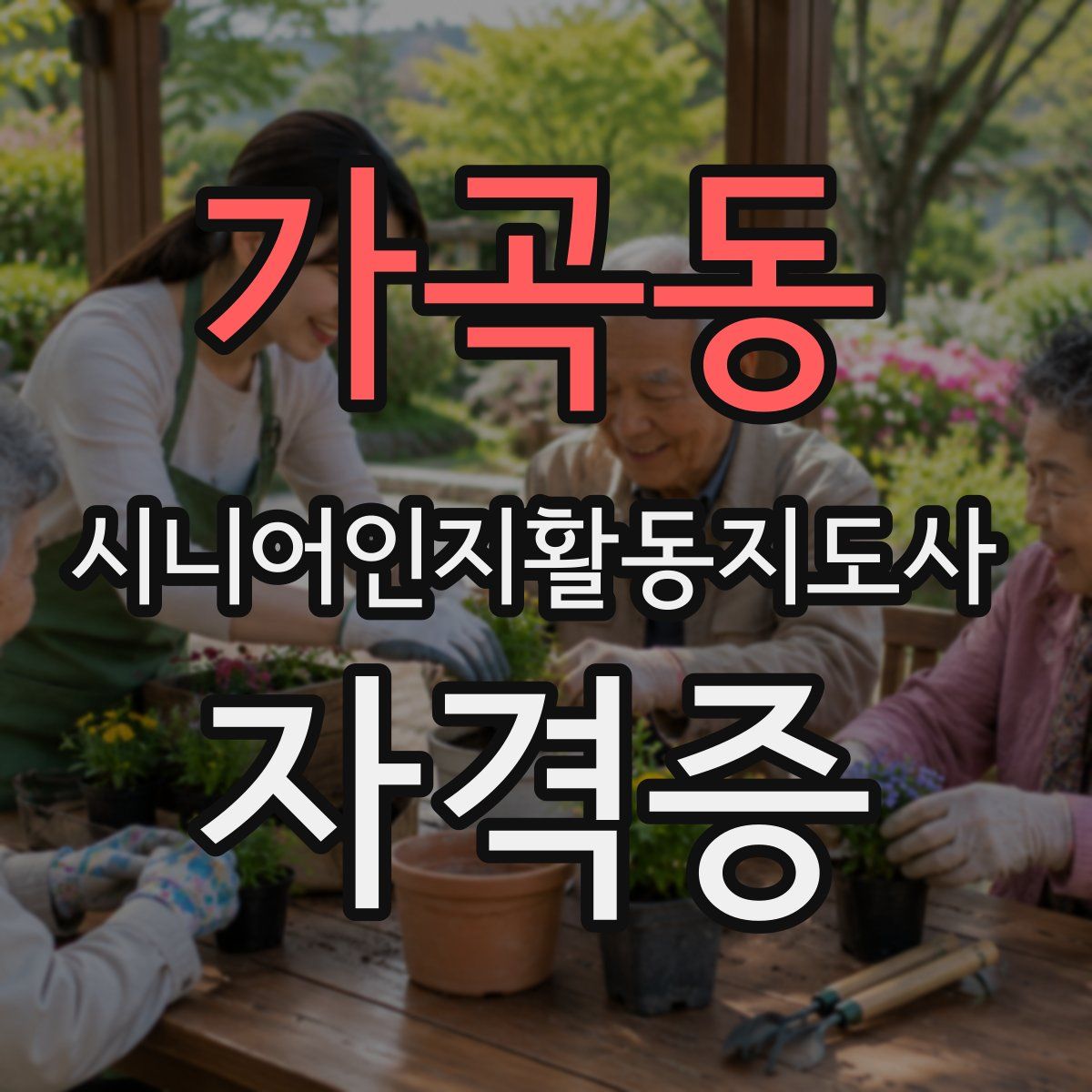 가곡동 시니어인지활동지도사 자격증
