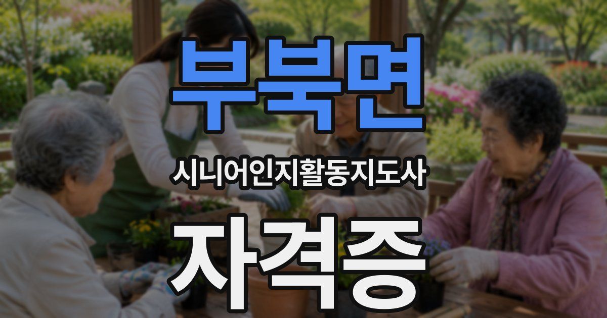 부북면 시니어인지활동지도사 자격증