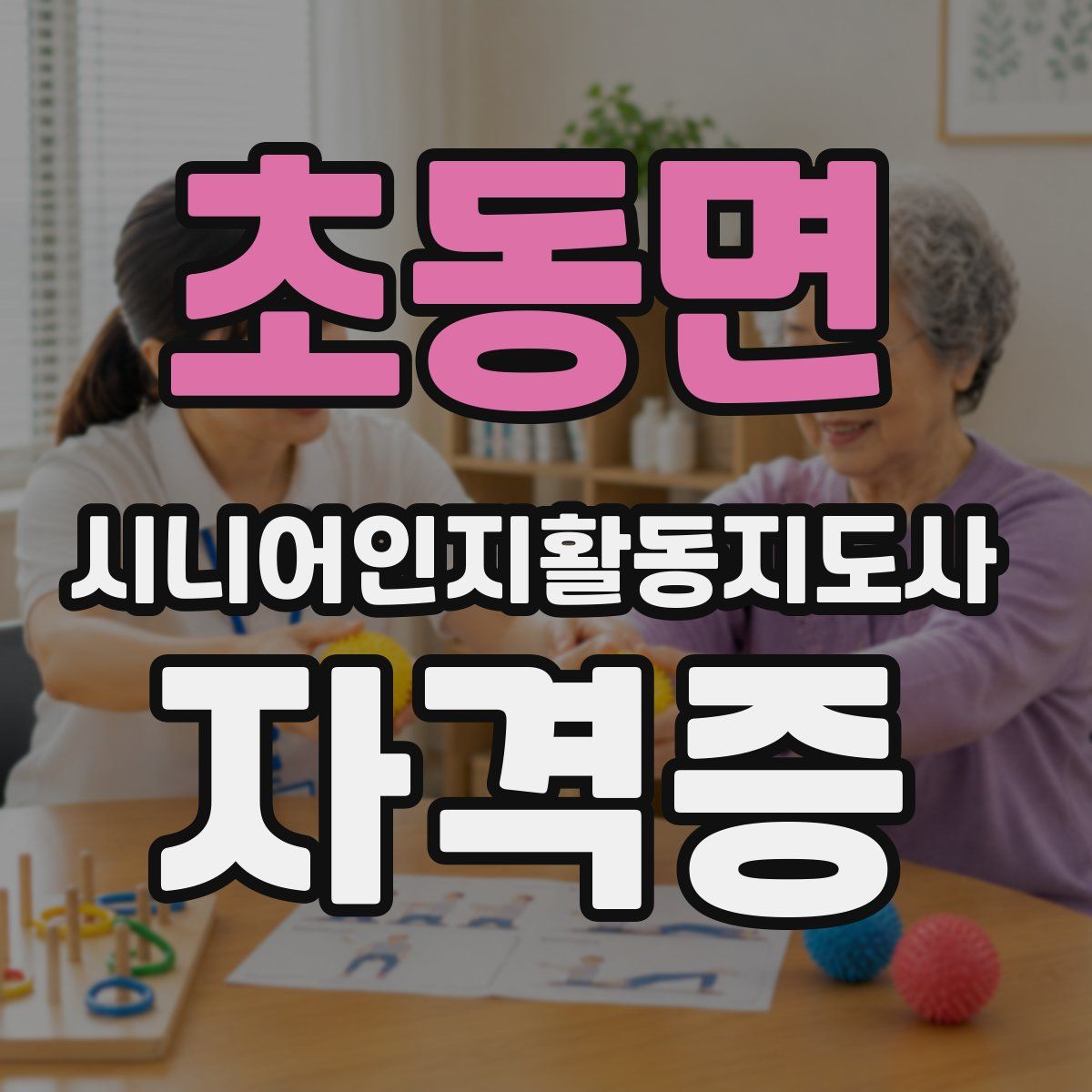 초동면 시니어인지활동지도사 자격증