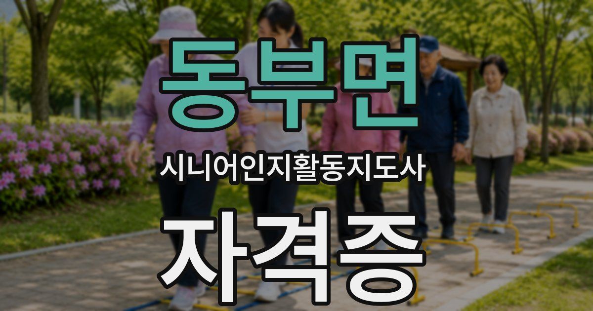 동부면 시니어인지활동지도사 자격증