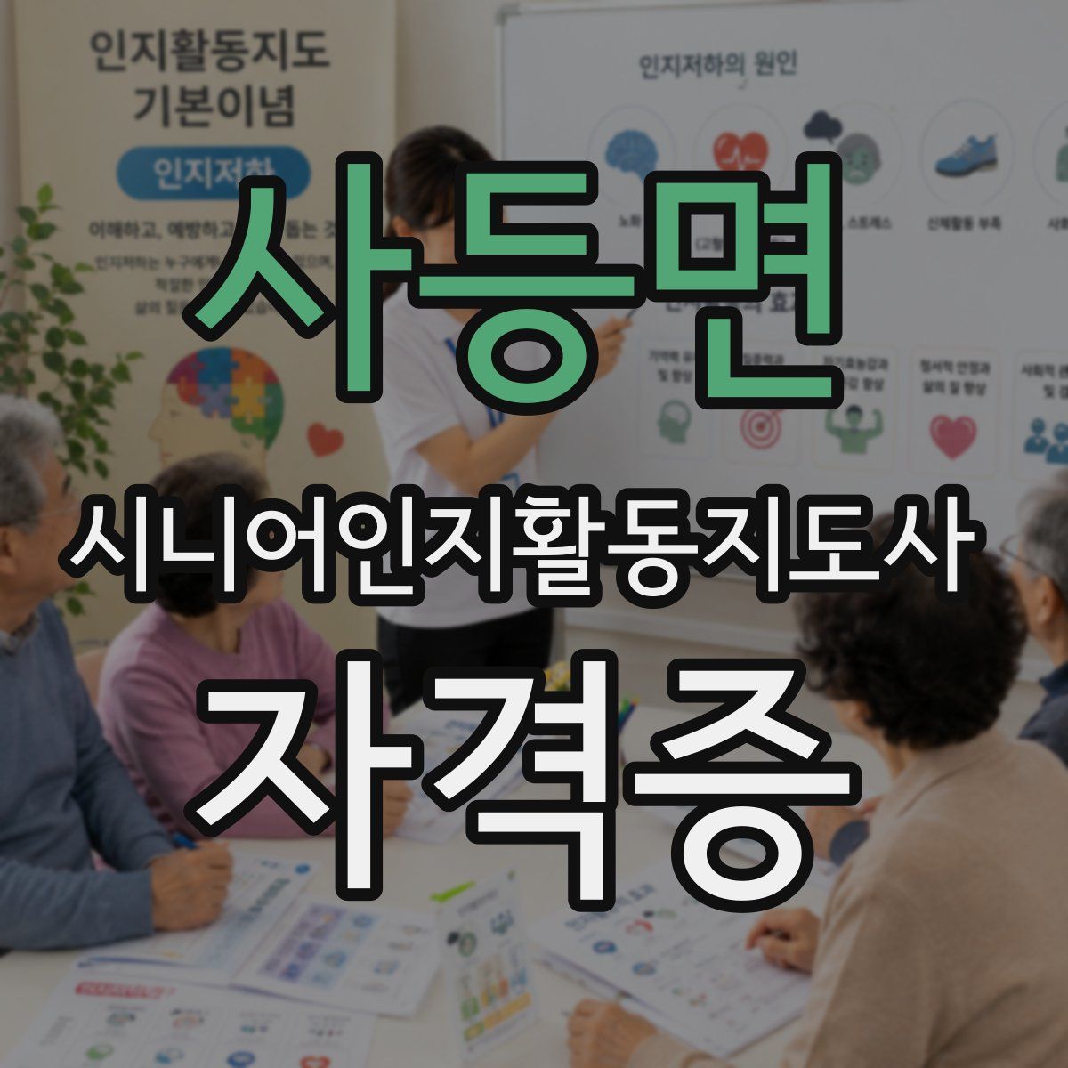 사등면 시니어인지활동지도사 자격증
