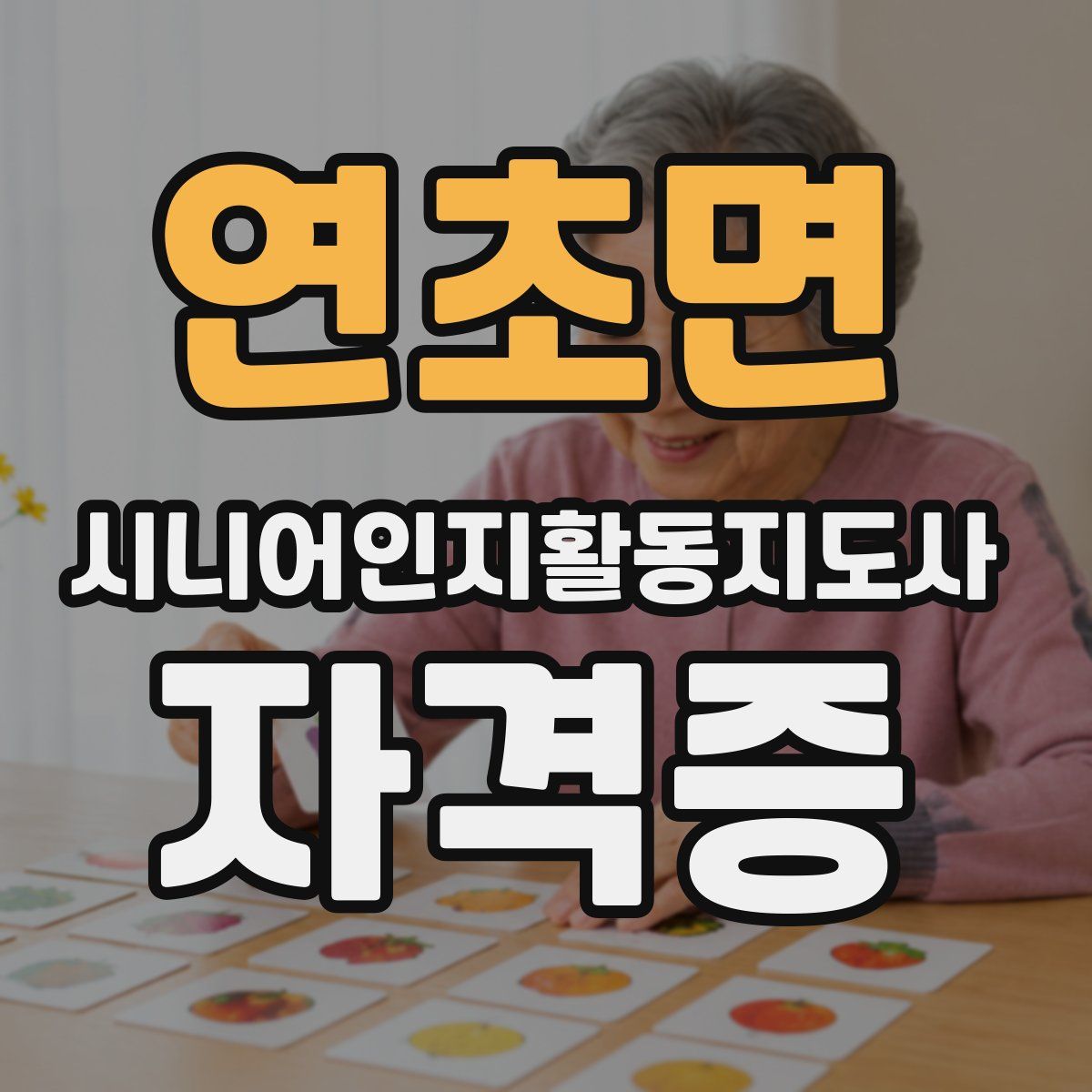 연초면 시니어인지활동지도사 자격증