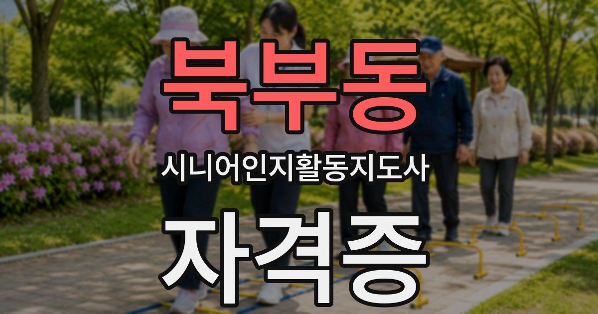 북부동 시니어인지활동지도사 자격증