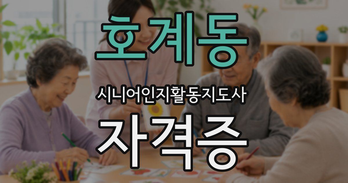 호계동 시니어인지활동지도사 자격증