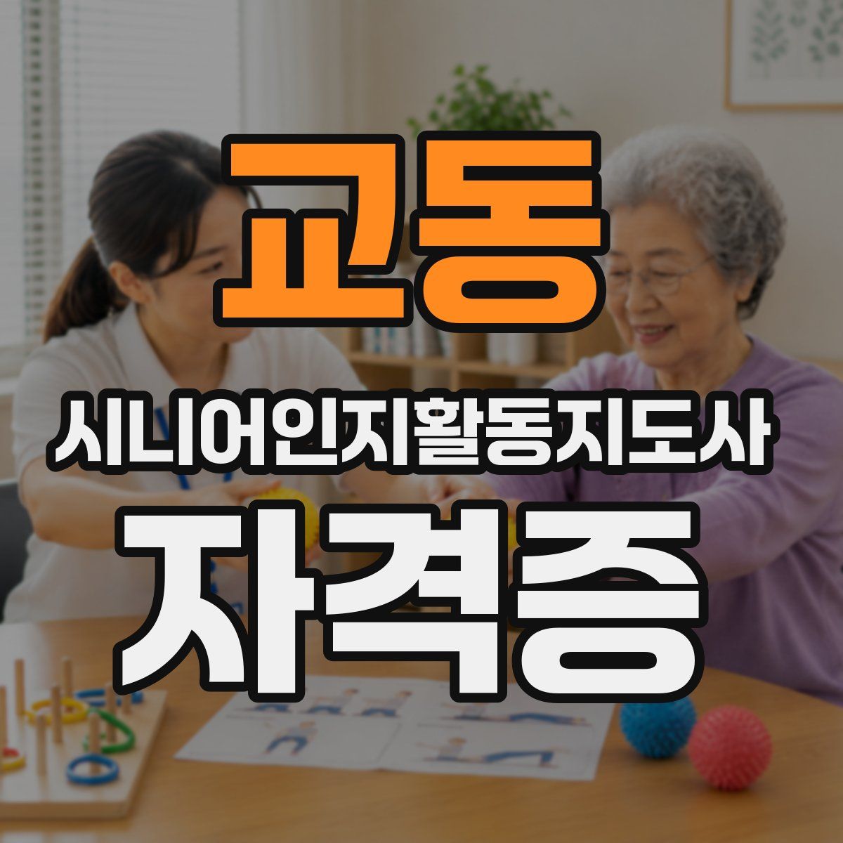 교동 시니어인지활동지도사 자격증
