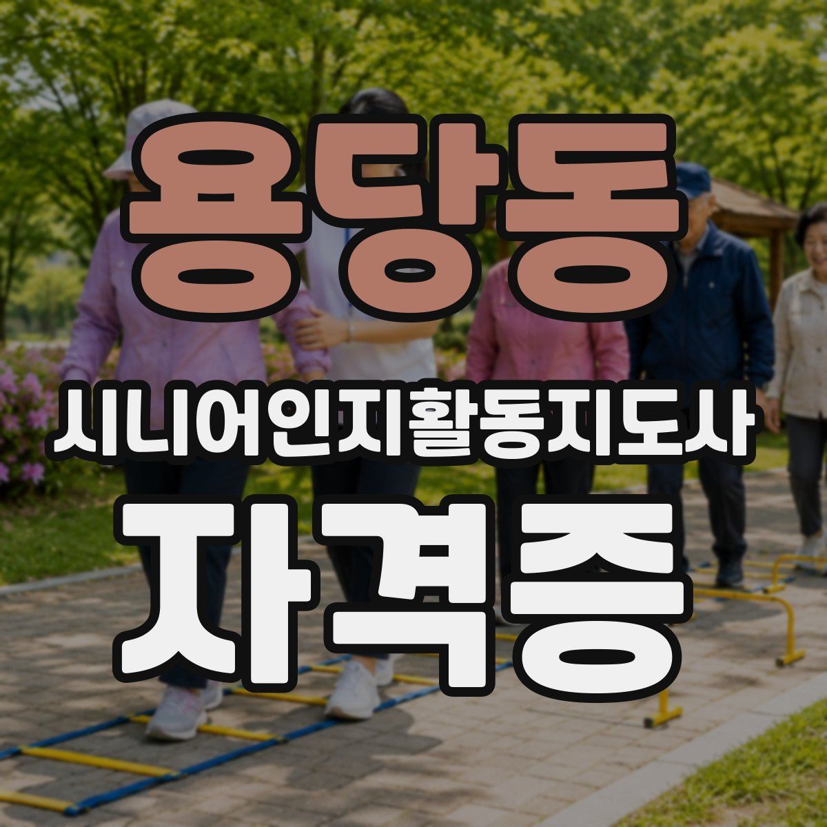 용당동 시니어인지활동지도사 자격증