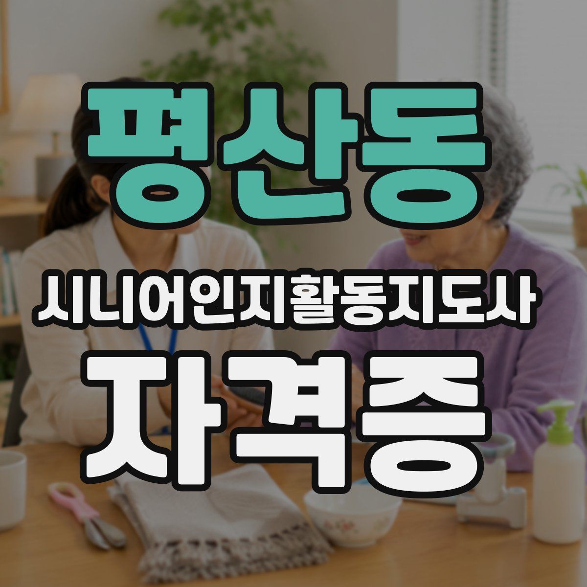 평산동 시니어인지활동지도사 자격증