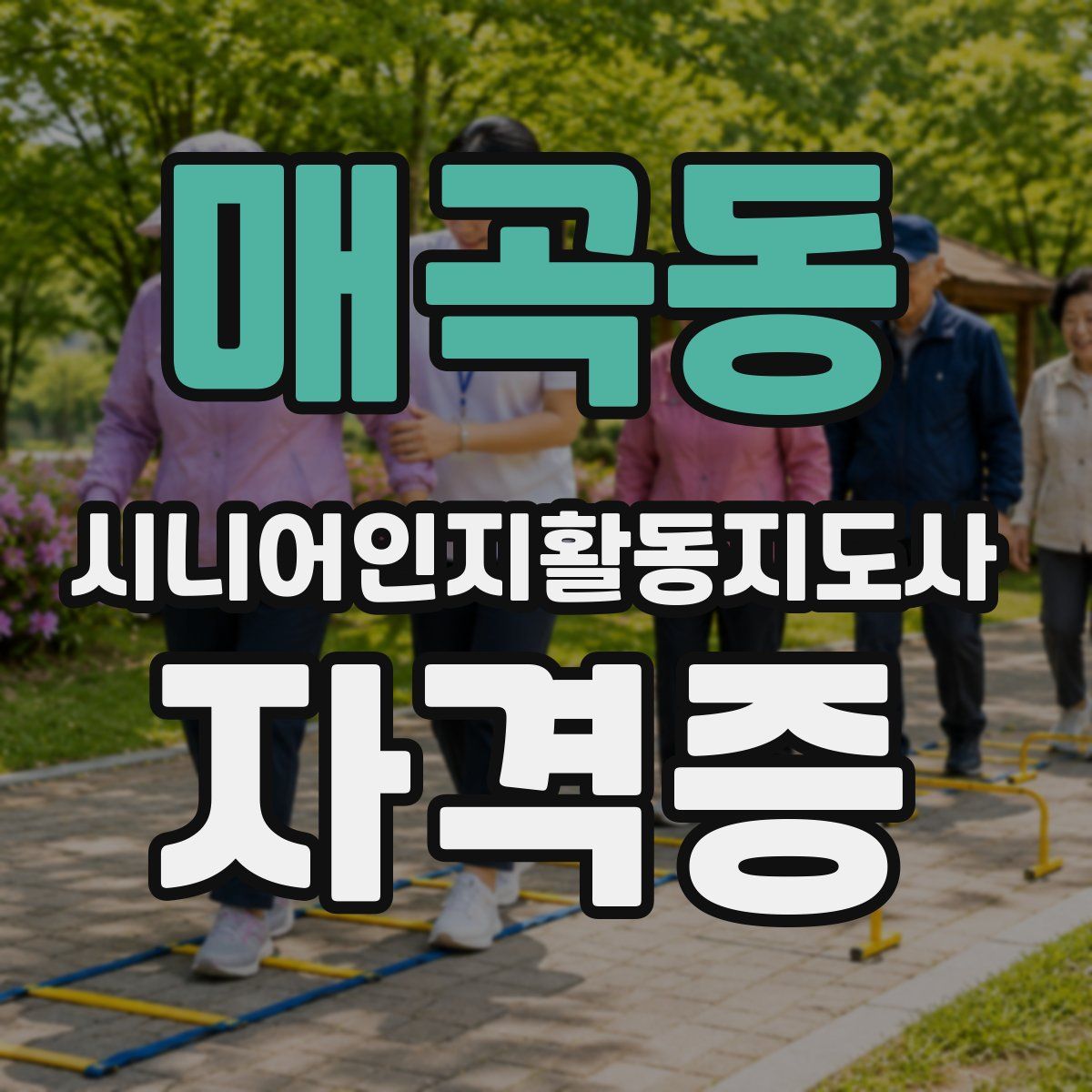 매곡동 시니어인지활동지도사 자격증
