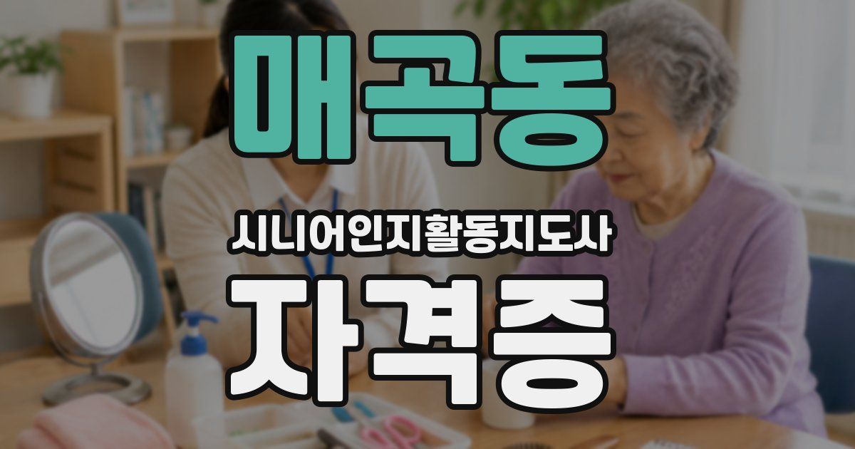 매곡동 시니어인지활동지도사 자격증