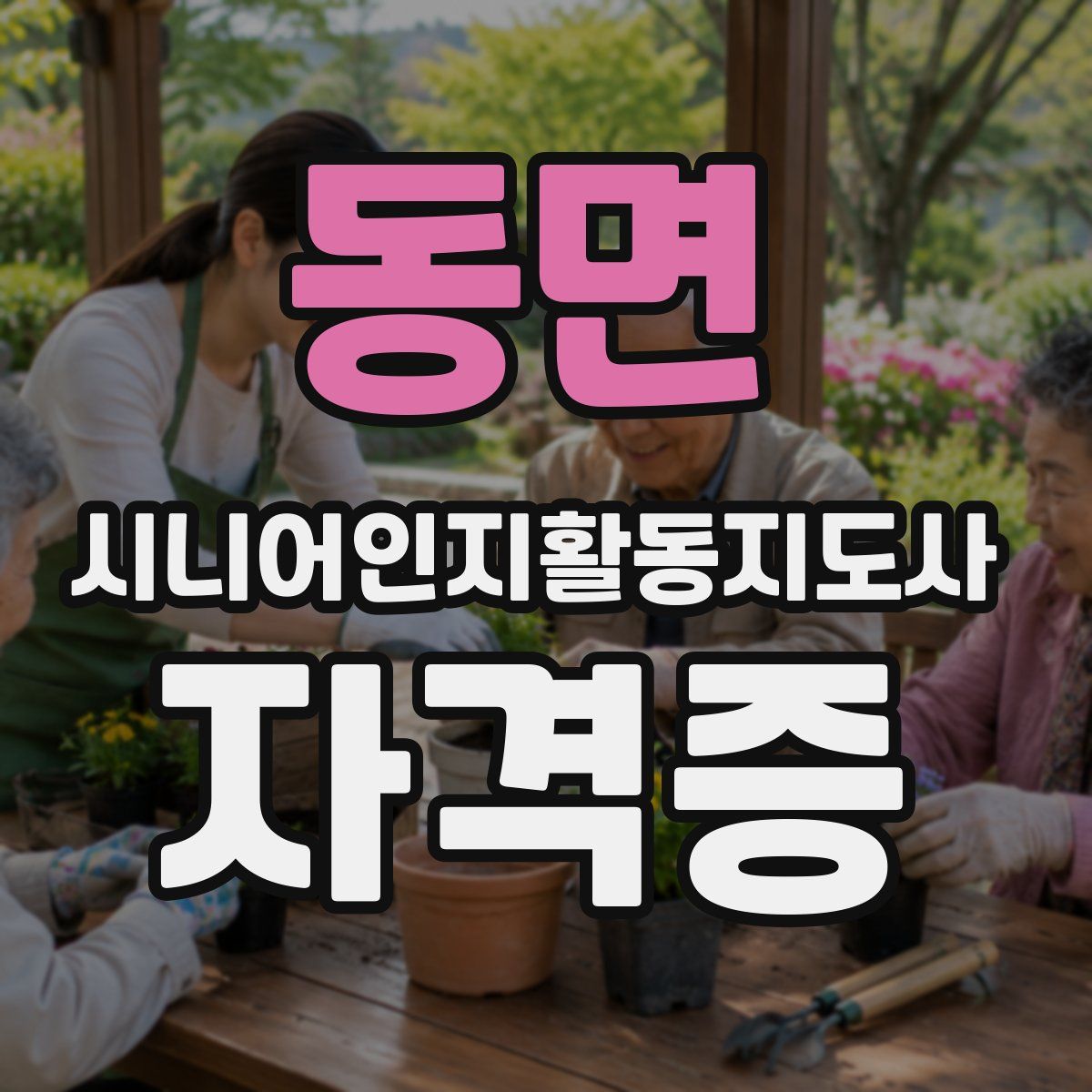 동면 시니어인지활동지도사 자격증