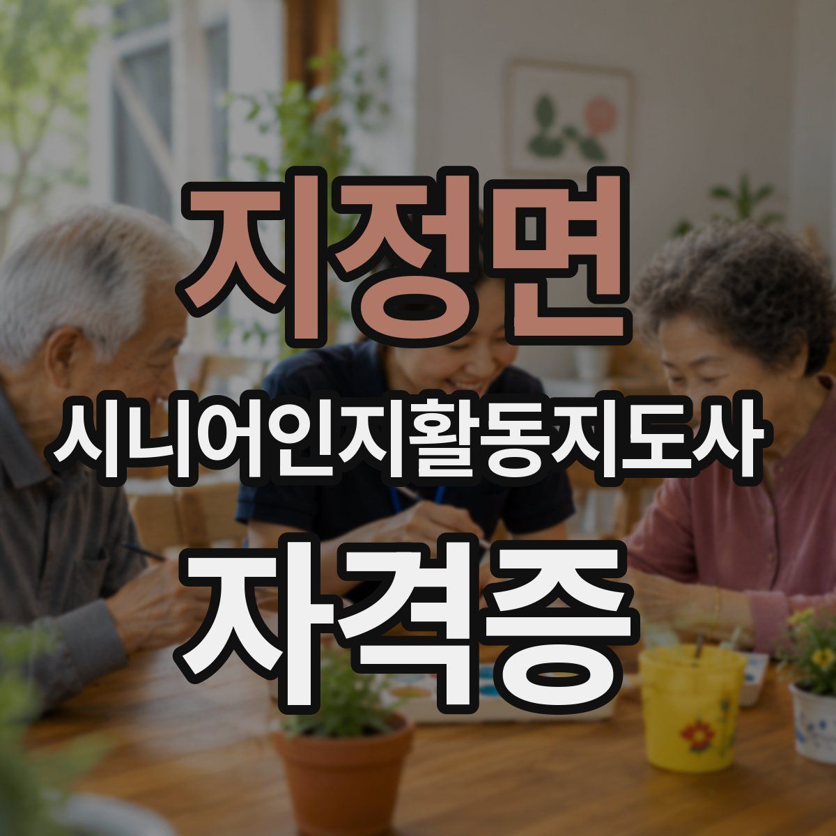 지정면 시니어인지활동지도사 자격증