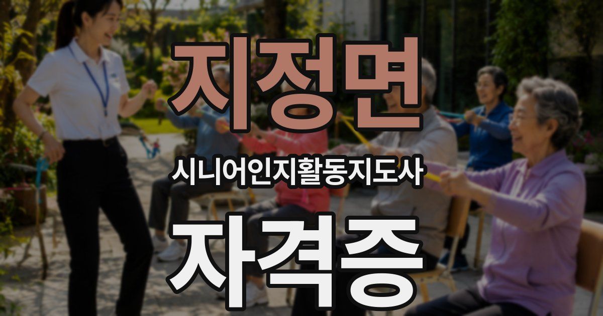 지정면 시니어인지활동지도사 자격증