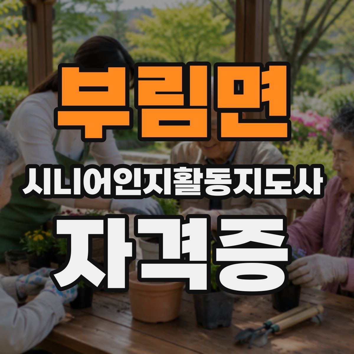 부림면 시니어인지활동지도사 자격증