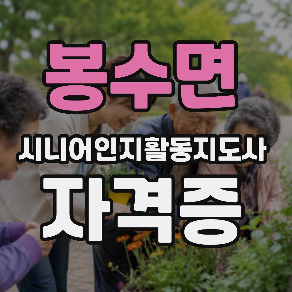 봉수면 시니어인지활동지도사 자격증