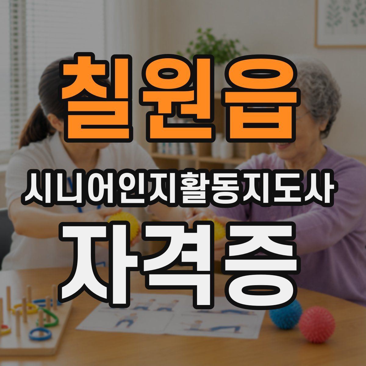 칠원읍 시니어인지활동지도사 자격증
