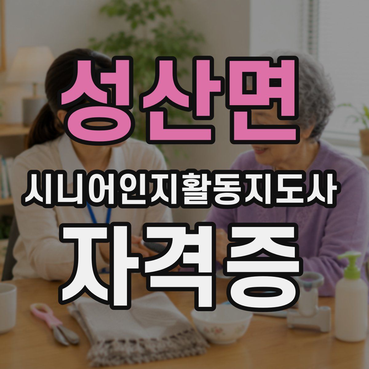 성산면 시니어인지활동지도사 자격증