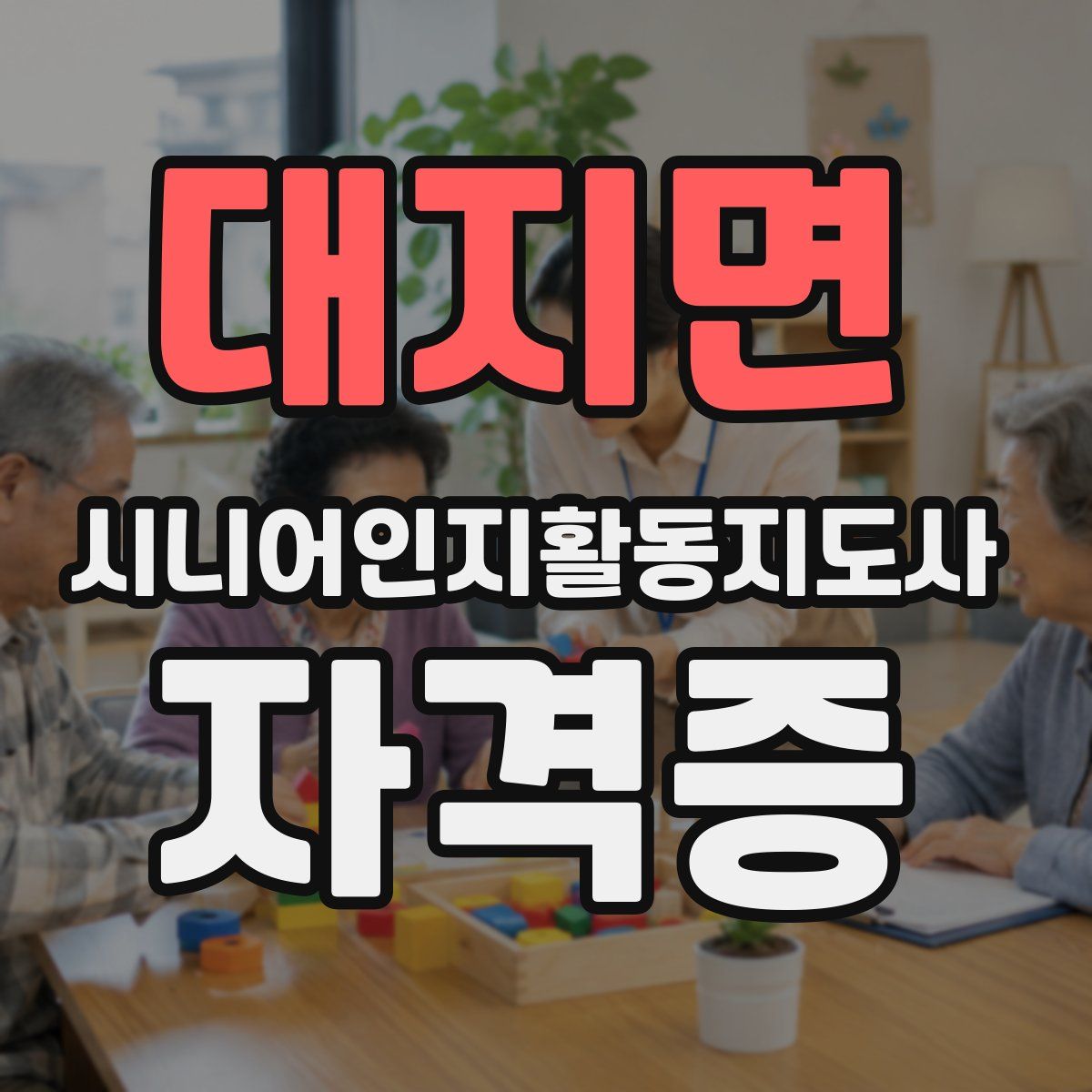 대지면 시니어인지활동지도사 자격증
