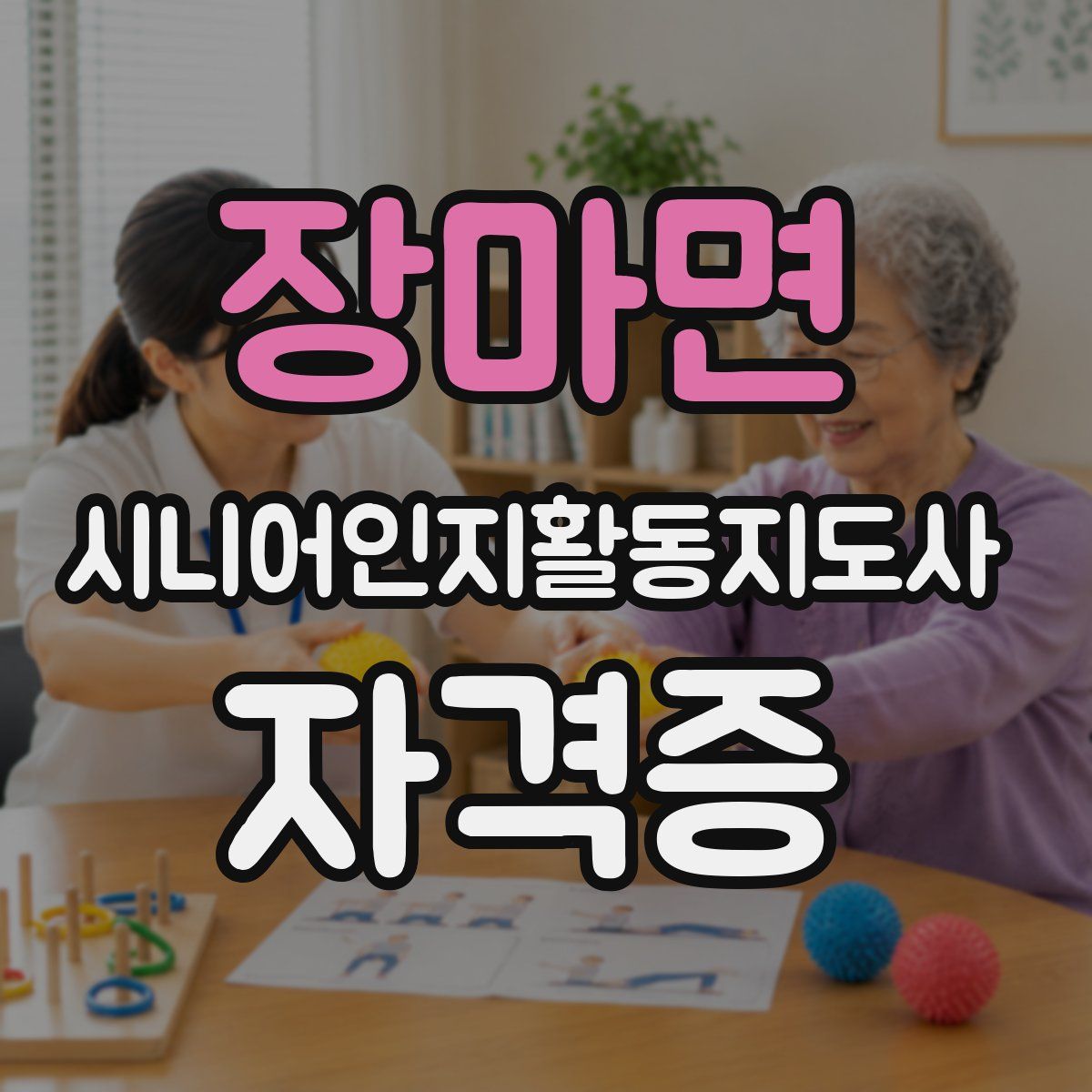 장마면 시니어인지활동지도사 자격증