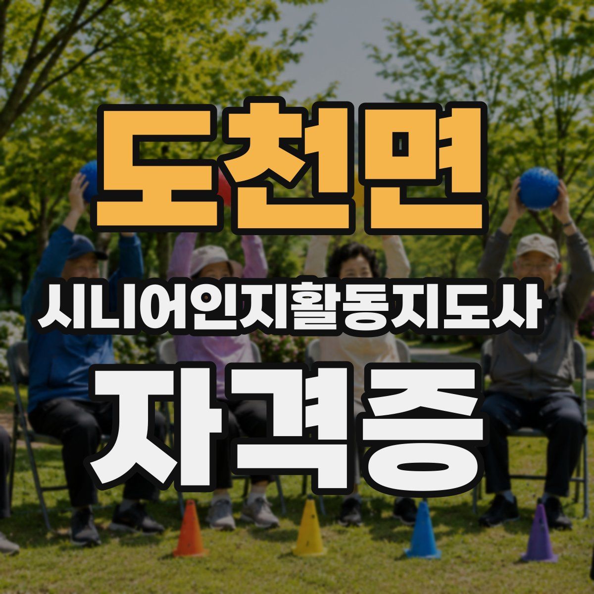 도천면 시니어인지활동지도사 자격증