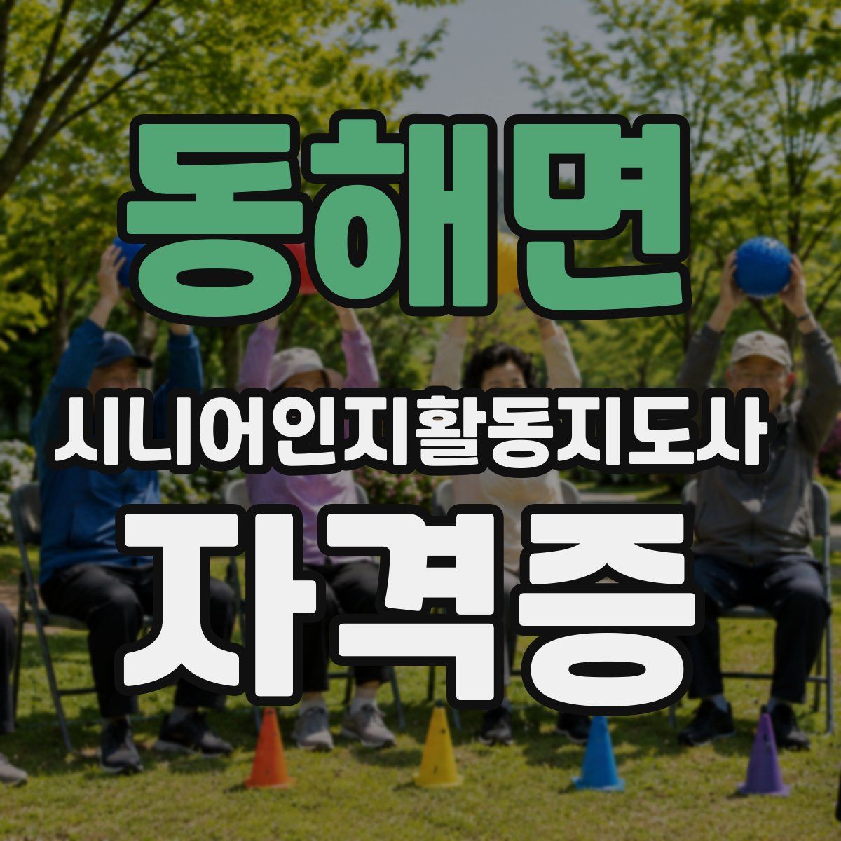 동해면 시니어인지활동지도사 자격증