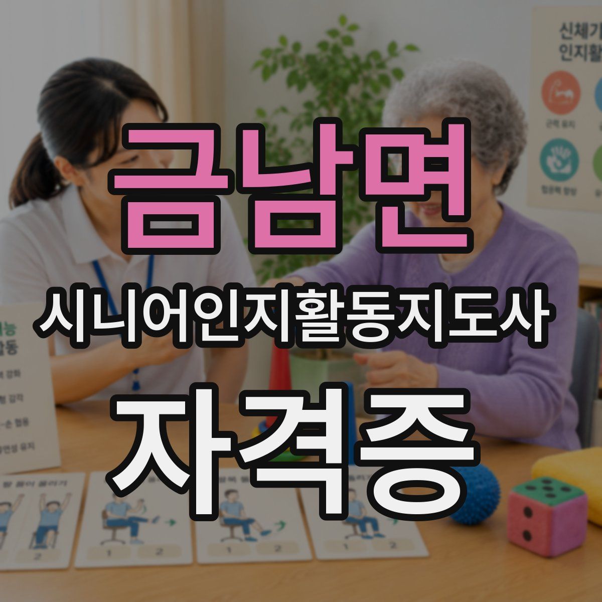 금남면 시니어인지활동지도사 자격증