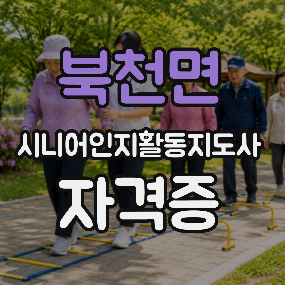 북천면 시니어인지활동지도사 자격증