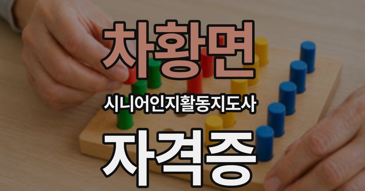 차황면 시니어인지활동지도사 자격증