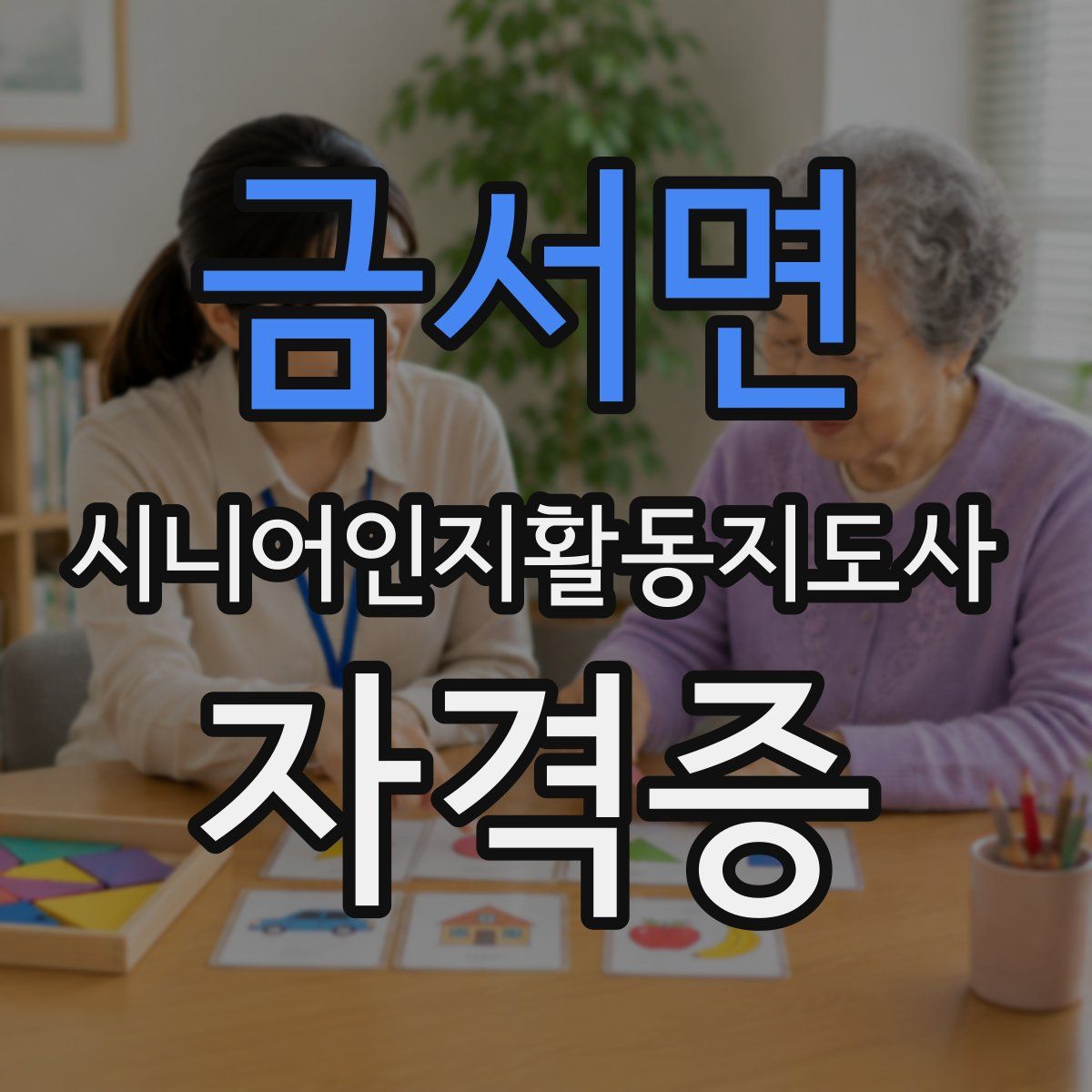 금서면 시니어인지활동지도사 자격증