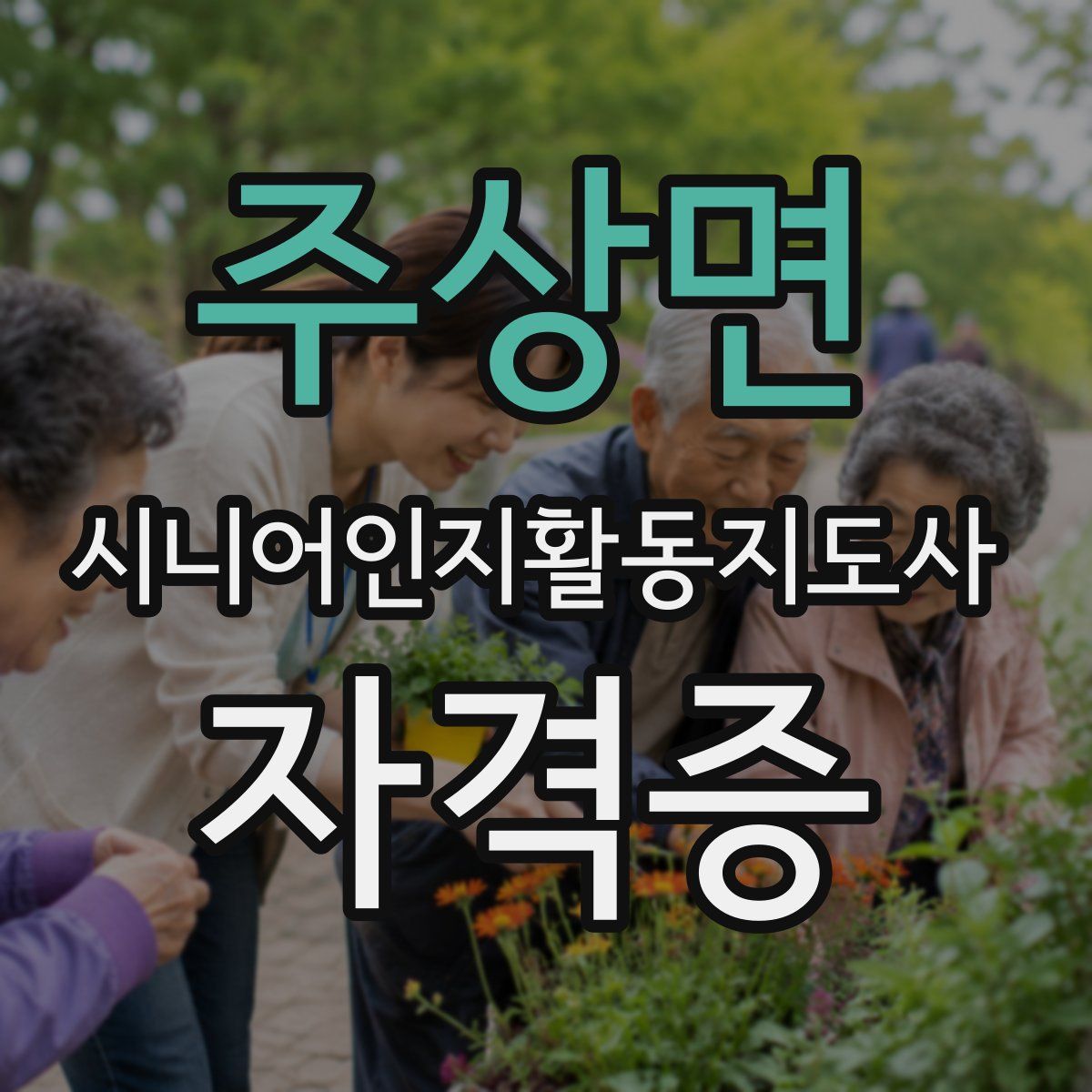 주상면 시니어인지활동지도사 자격증