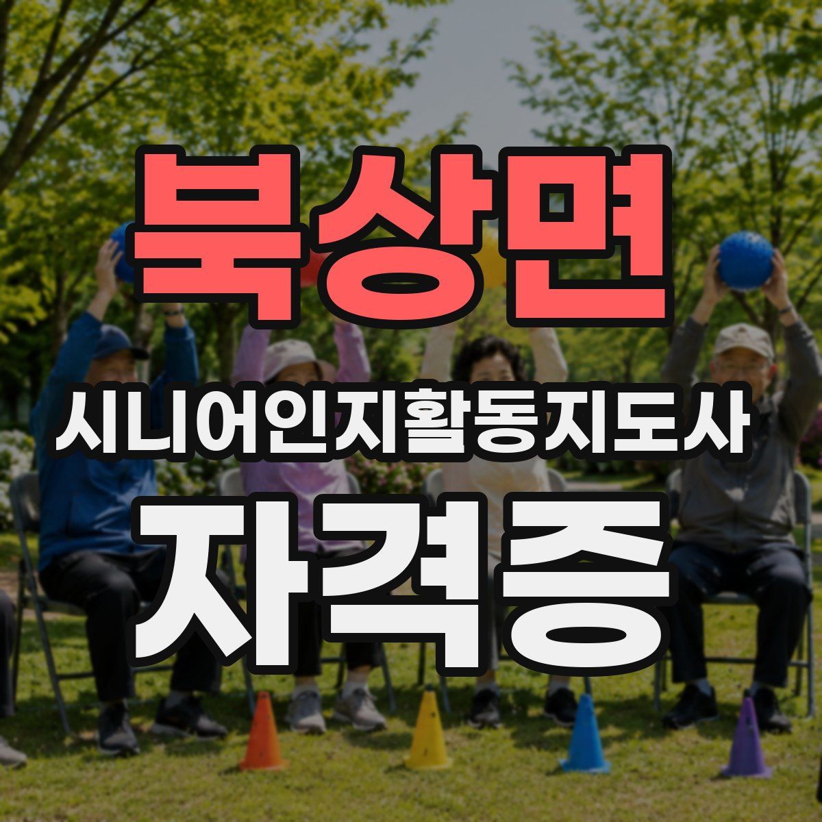 북상면 시니어인지활동지도사 자격증