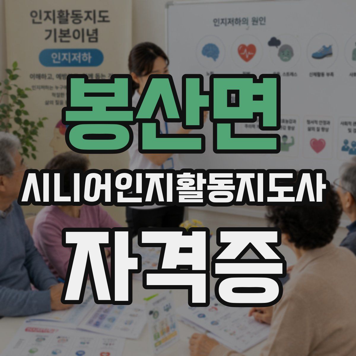 봉산면 시니어인지활동지도사 자격증