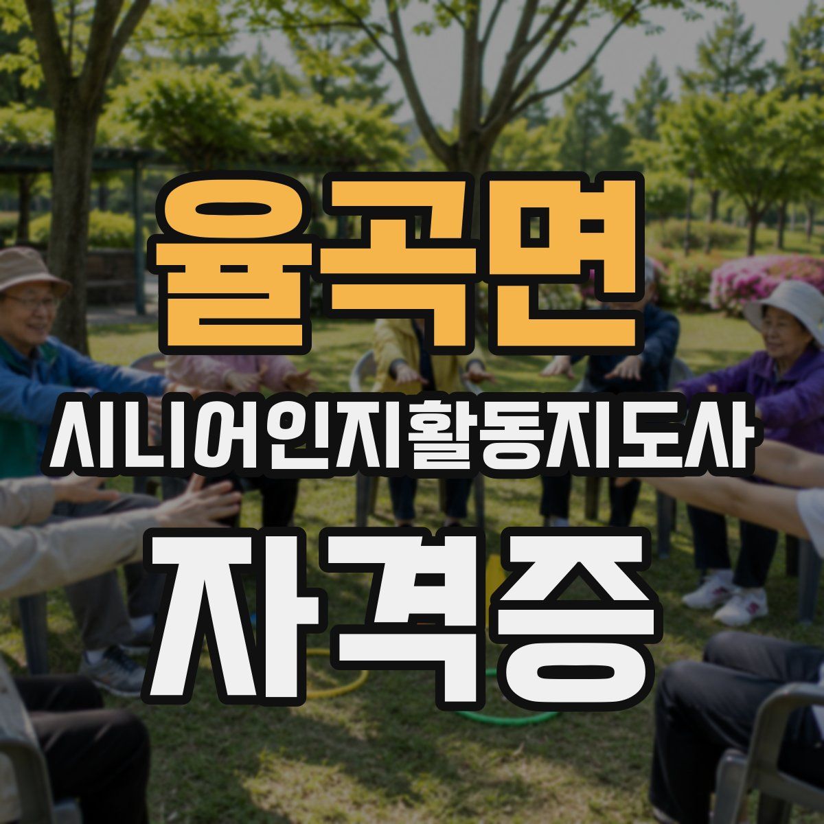 율곡면 시니어인지활동지도사 자격증
