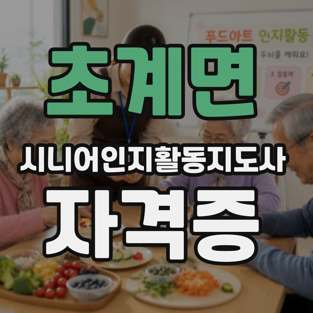초계면 시니어인지활동지도사 자격증