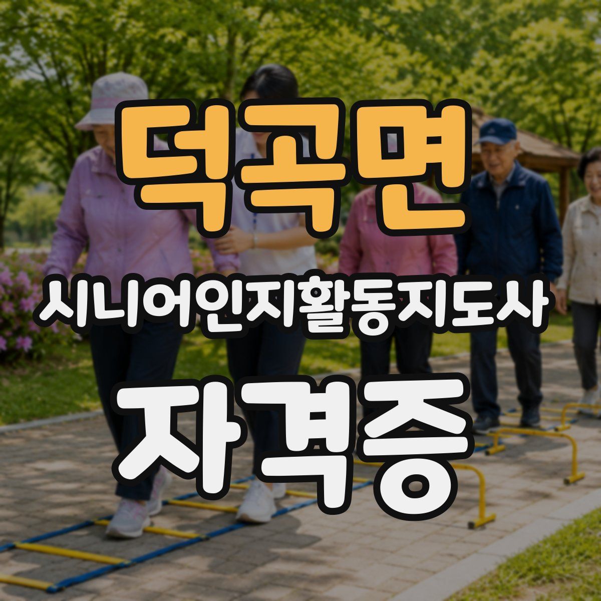 덕곡면 시니어인지활동지도사 자격증