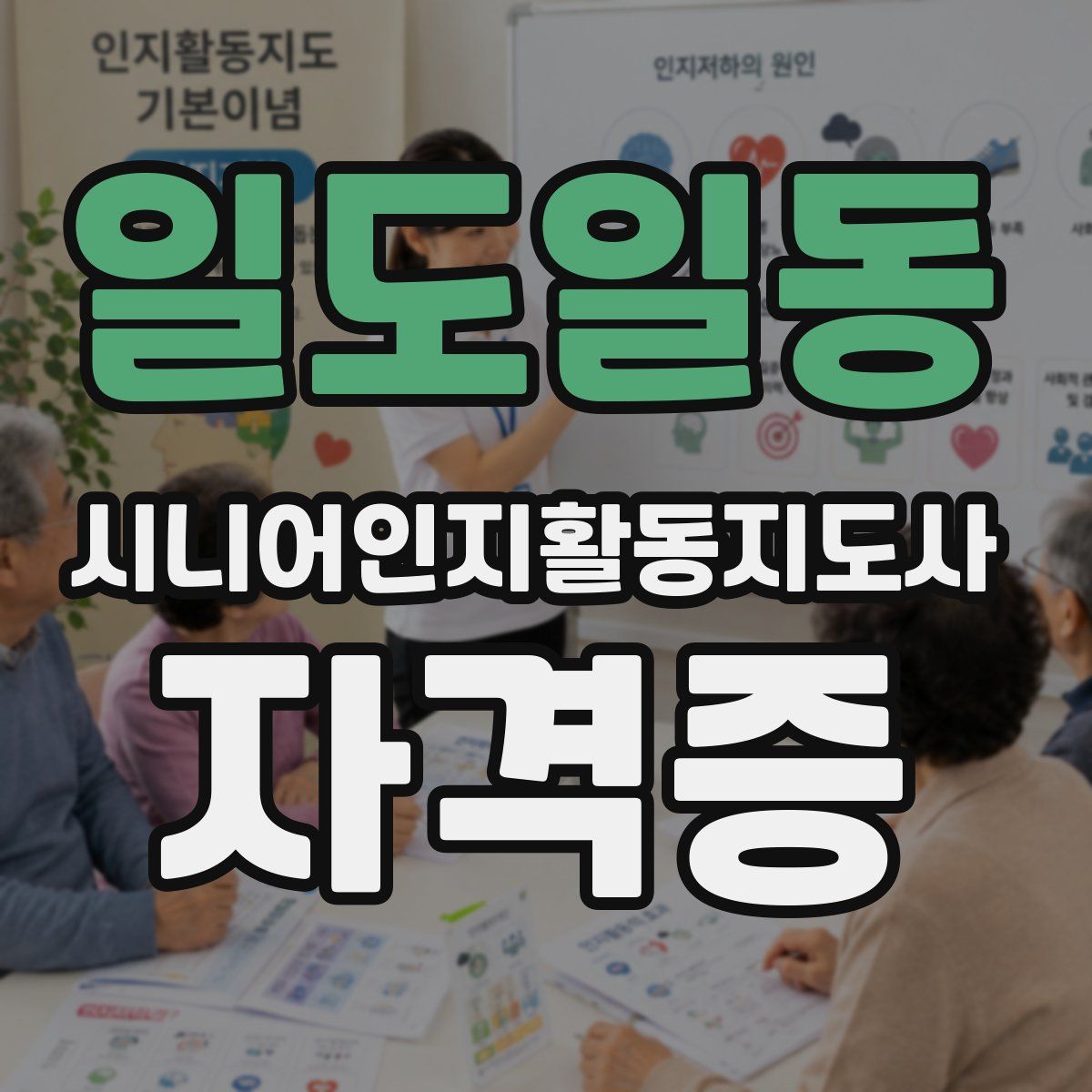 일도일동 시니어인지활동지도사 자격증