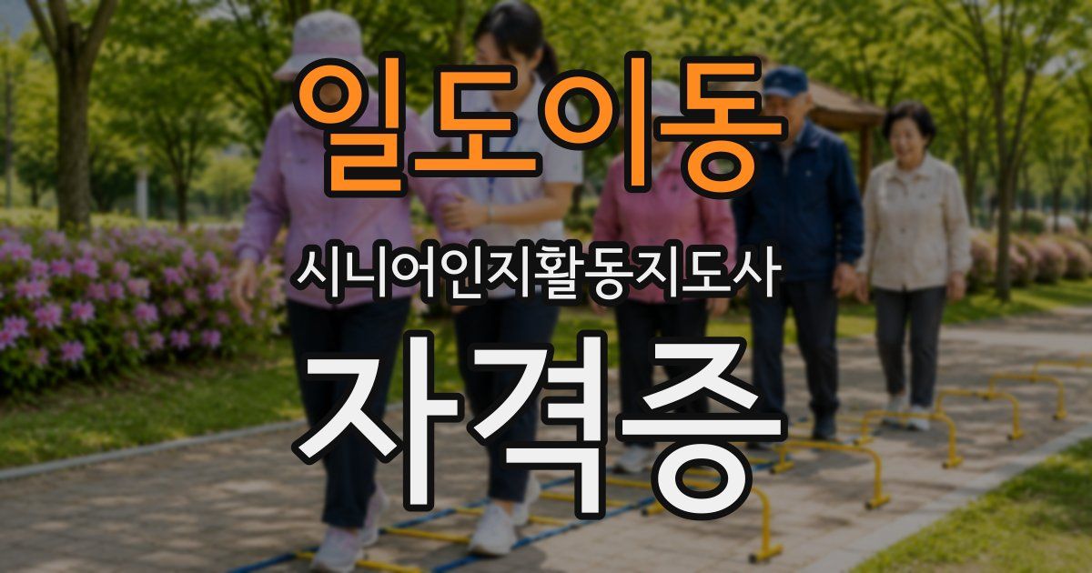 일도이동 시니어인지활동지도사 자격증