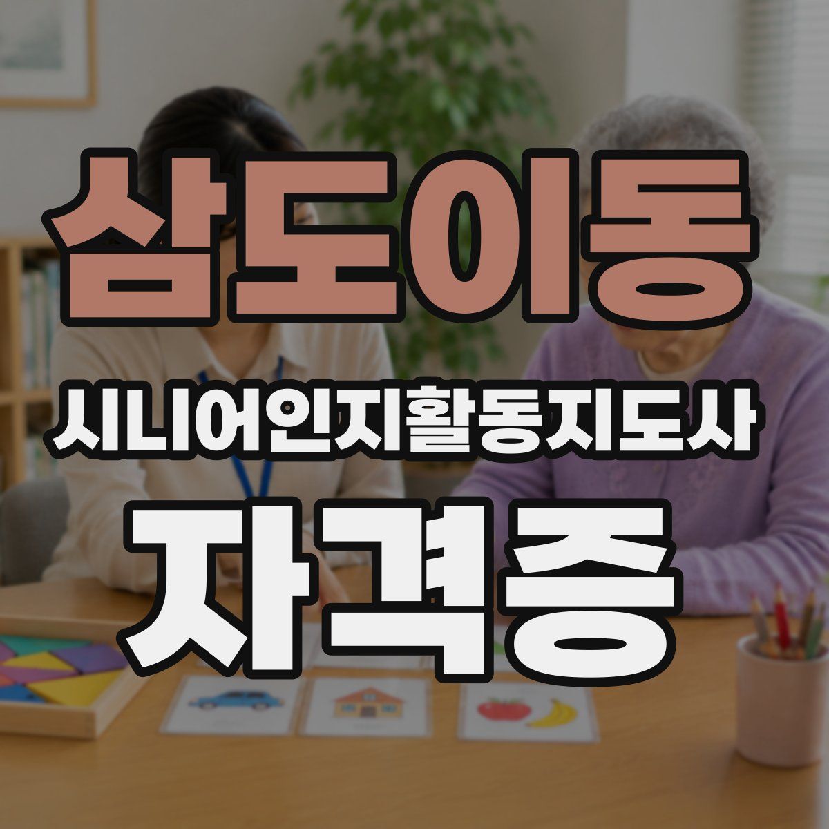 삼도이동 시니어인지활동지도사 자격증